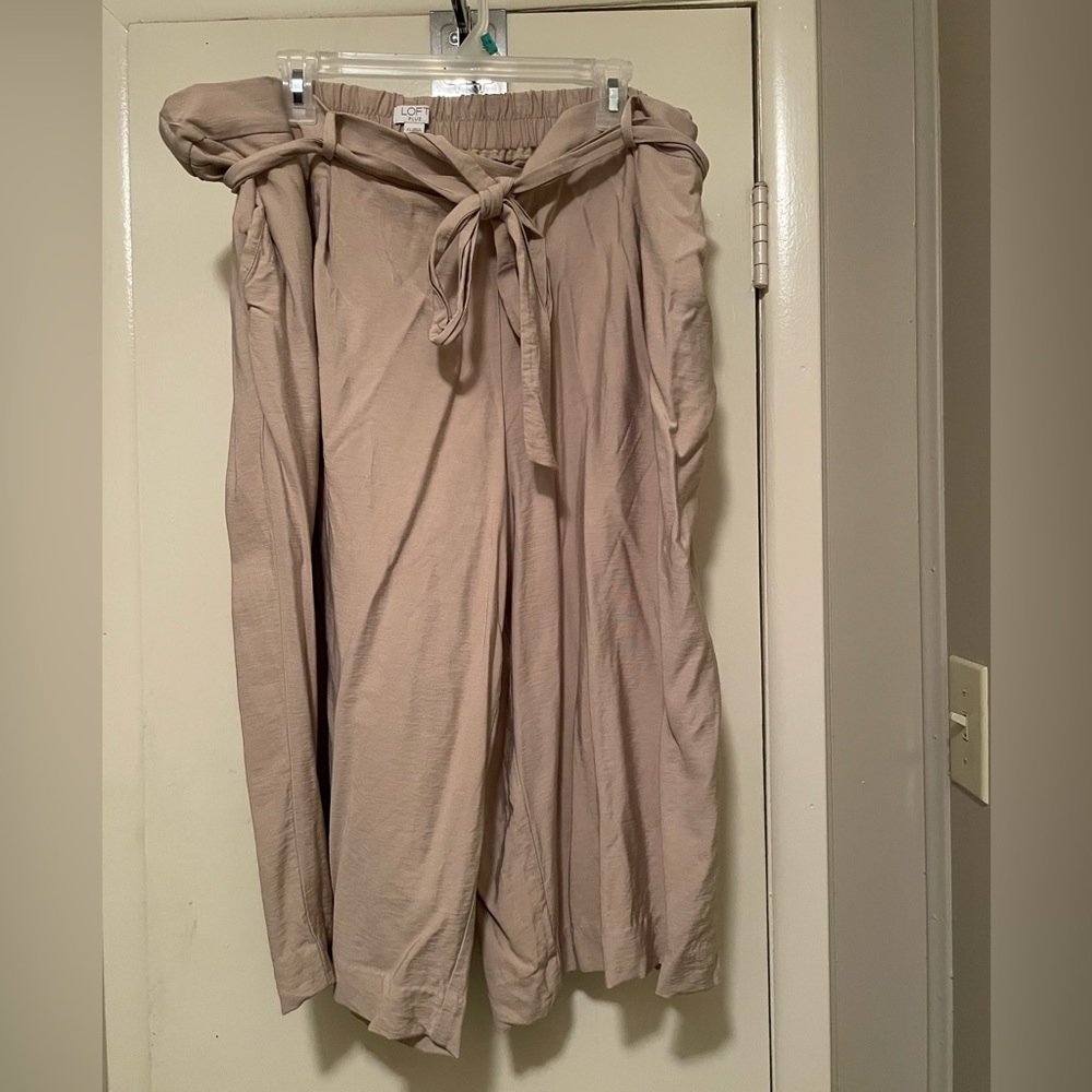 Loft Sz 22 Cropped Pants